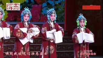 戏曲视频下载,视频下载背后的精彩故事